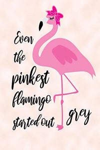 Even The Pinkest Flamingo Started Grey