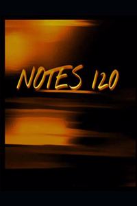 Notes 120
