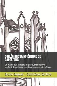 Collégiale Saint-Étienne de Capestang