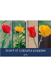 Scent of Colourful Poppies 2018