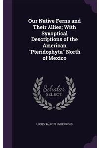 Our Native Ferns and Their Allies; With Synoptical Descriptions of the American Pteridophyta North of Mexico