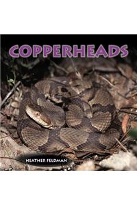 Copperheads