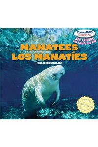 Manatees / Los Manatíes