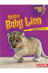 Meet a Baby Lion