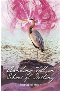 Standing Tall in Echoes of Destiny