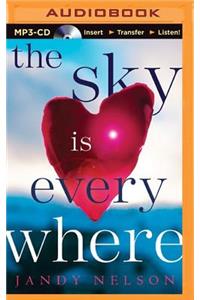 Sky Is Everywhere