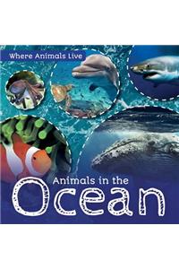 Animals in the Ocean