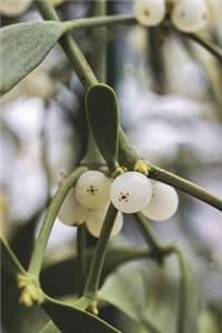 Kiss Me Under the Mistletoe Journal