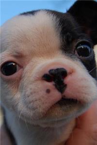 Precious Little Bitty Pit Bull Puppy Dog Pet Journal