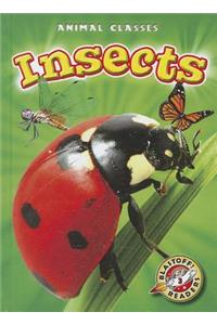 Insects
