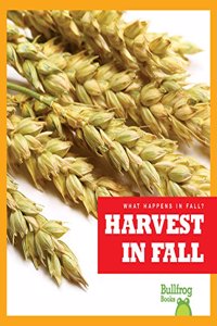 Harvest in Fall
