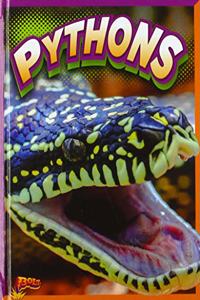 Pythons