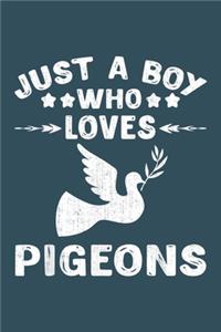 Just a boy who loves pigeons