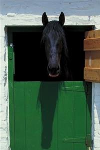 2020 Daily Planner Horse Photo Equine Stabled Horse French Door 388 Pages