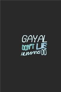 Gayal don't lie humans do