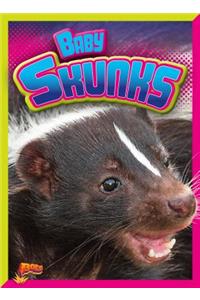 Baby Skunks
