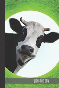 Grass Hole Cow