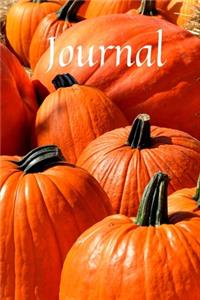 Journal
