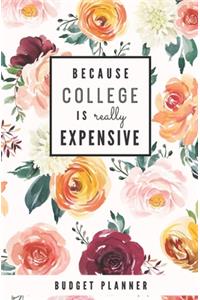 Because College is Really Expensive