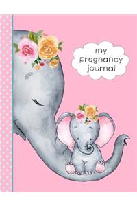 My Pregnancy Journal