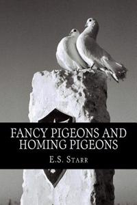 Fancy Pigeons and Homing Pigeons