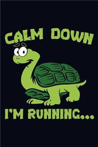 Calm Down I'm Running