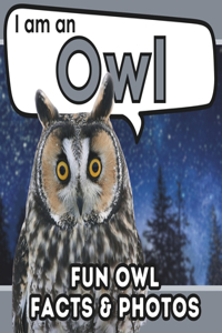 I am an Owl