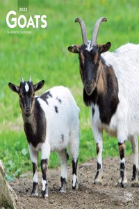 Goats 2022 Square