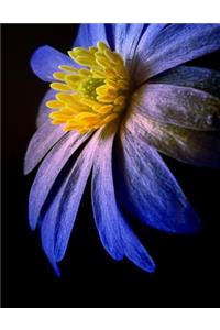 Flower Notebook