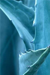 Aloe Blue-Gray - Blank Notebook