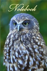 Notebook/ Journal - Ruru (Morepork) New Zealand's Native Owl