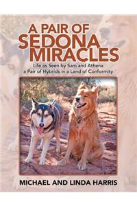 Pair of Sedona Miracles