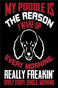 My Poodle is the Reason I Wake Up Every Morning Really Freakin' Early Every. Sin
