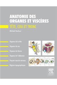 Anatomie Des Organes Et Viscères