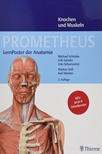 PROMETHEUS LernPoster der Anatomie, Knochen und Muskeln