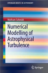 Numerical Modelling of Astrophysical Turbulence