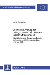 Quantitative Analyse Der Untergrundwirtschaft Mit Einem Linearen Strukturmodell