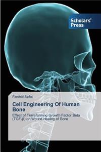 Cell Engineering Of Human Bone