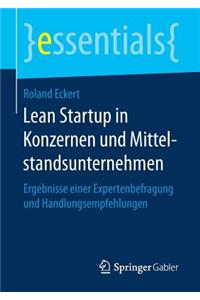 Lean Startup in Konzernen Und Mittelstandsunternehmen