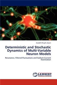 Deterministic and Stochastic Dynamics of Multi-Variable Neuron Models