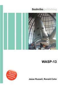Wasp-13