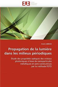 Propagation de la Lumi�re Dans Les Milieux P�riodiques