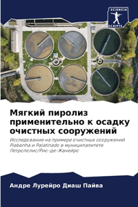 Мягкий пиролиз применительно к осадку очи