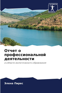 Отчет о профессиональной деятельности