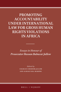 Promoting Accountability under International Law for Gross Human Rights Violations in Africa