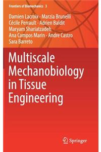 Multiscale Mechanobiology in Tissue Engineering