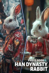 Han Dynasty Rabbit Photo Book