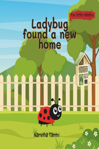 Ladybug found a new home