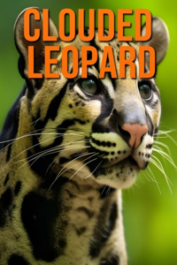 Clouded Leopard