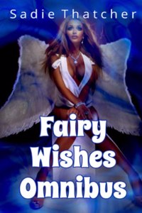 Fairy Wishes Omnibus